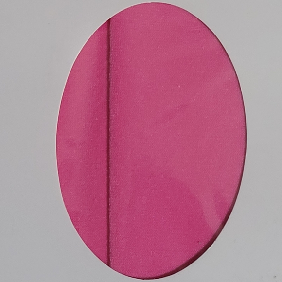 NIB Zioccie 80 Denier Opaque Microfibre Tights Hot Pink - Picture 4 of 7